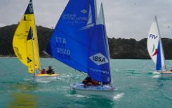 Hansa 303 IBSA
