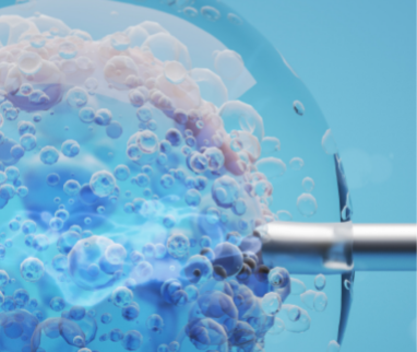 Press conference on ART: green light in Italy for the new menotropin formulation 