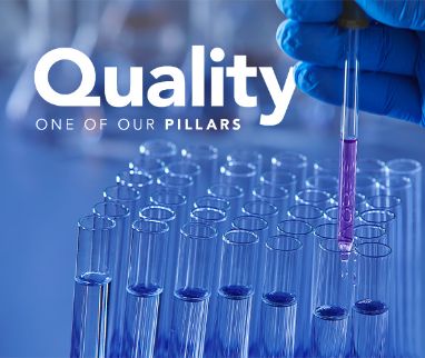 Quality for IBSA: pillar and added value