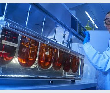 The FDA awards IBSA: confirmation of the excellence of our standards