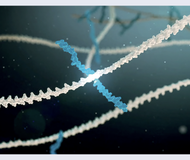 Leading innovation in viscosupplementation: NAHYCO® HYBRID TECHNOLOGY