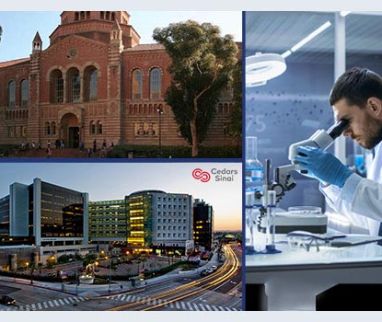 Sex hormones and COVID-19: a Californian research group experiments with IBSA's subcutaneous progesterone 