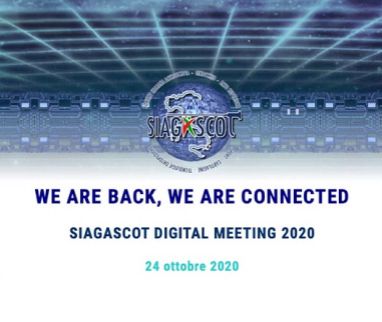 IBSA is the main sponsor of SIAGASCOT's D-Meeting